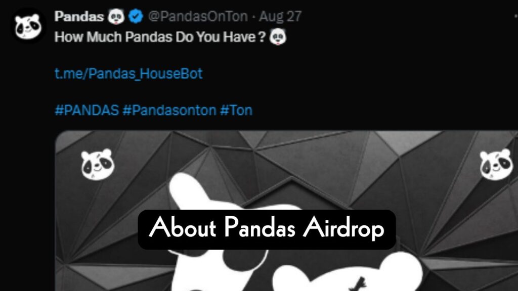 About Pandas Airdrop