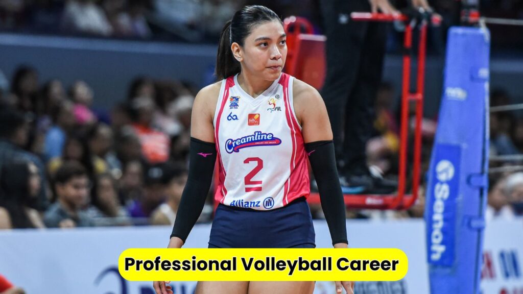 Professional Volleyball Career