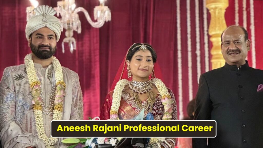 Aneesh Rajani Professional Career