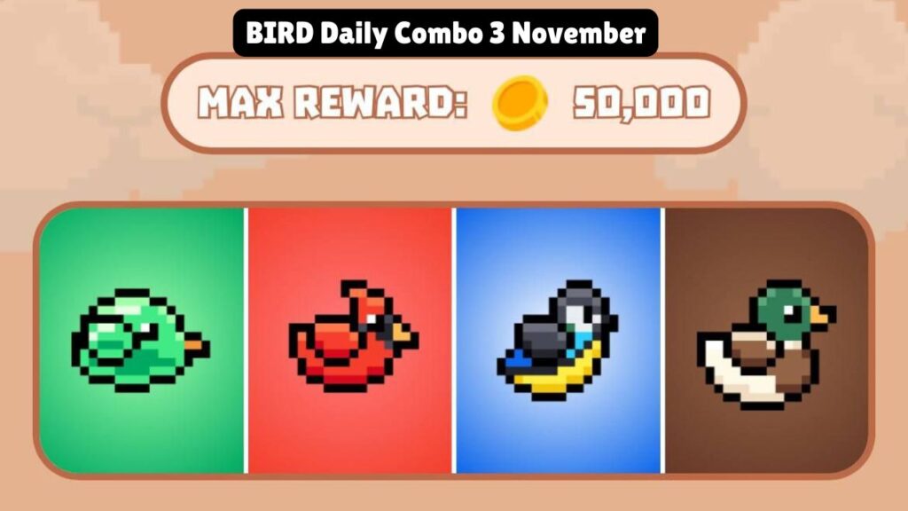 BIRD Daily Combo 3 November