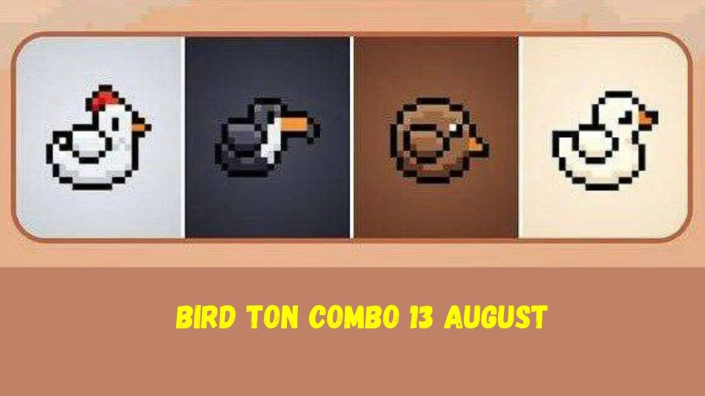 BIRD Ton Combo 13 August