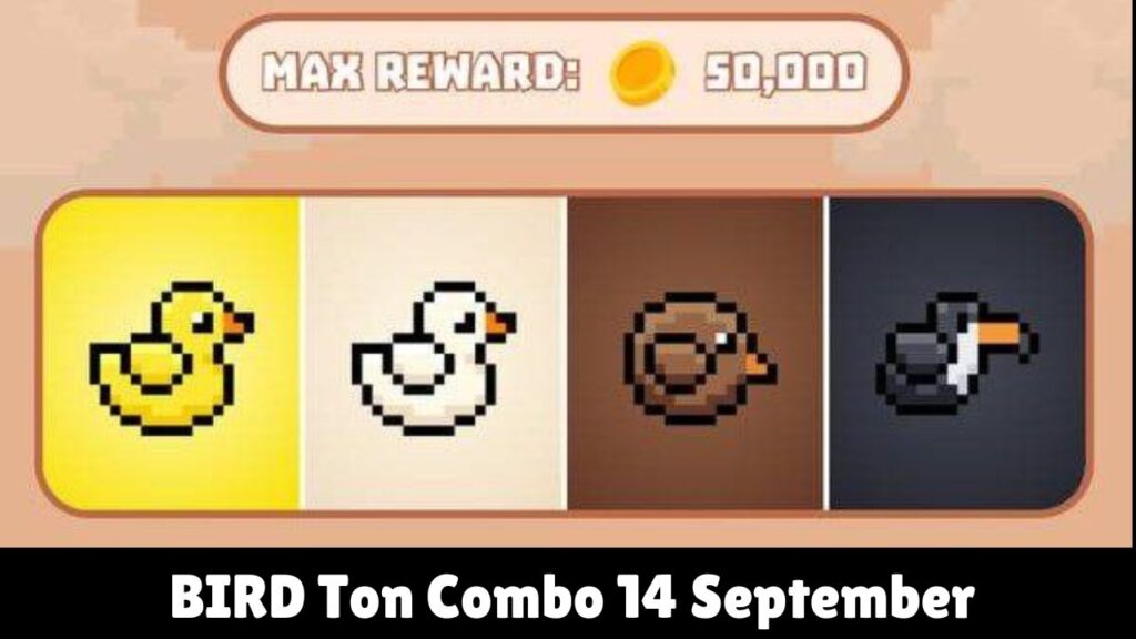 BIRD Ton Combo 14 September