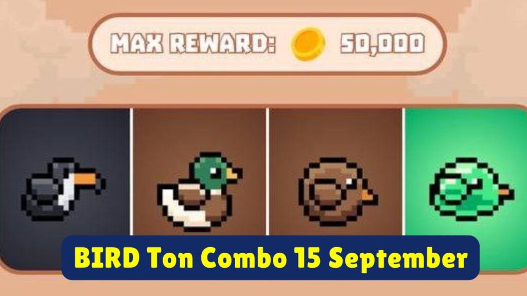 BIRD Ton Combo 15 September