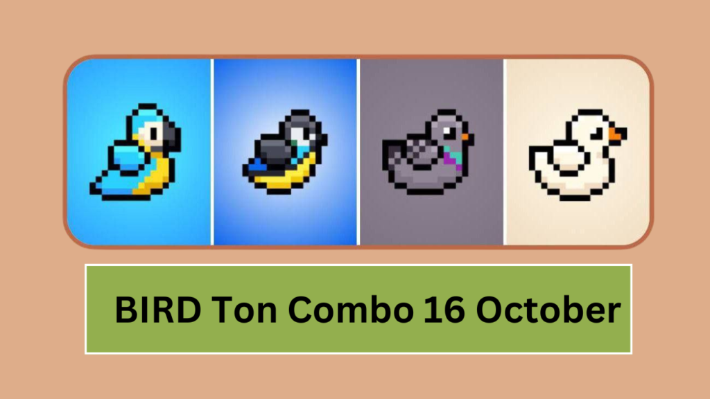 BIRD Ton Combo 16 October