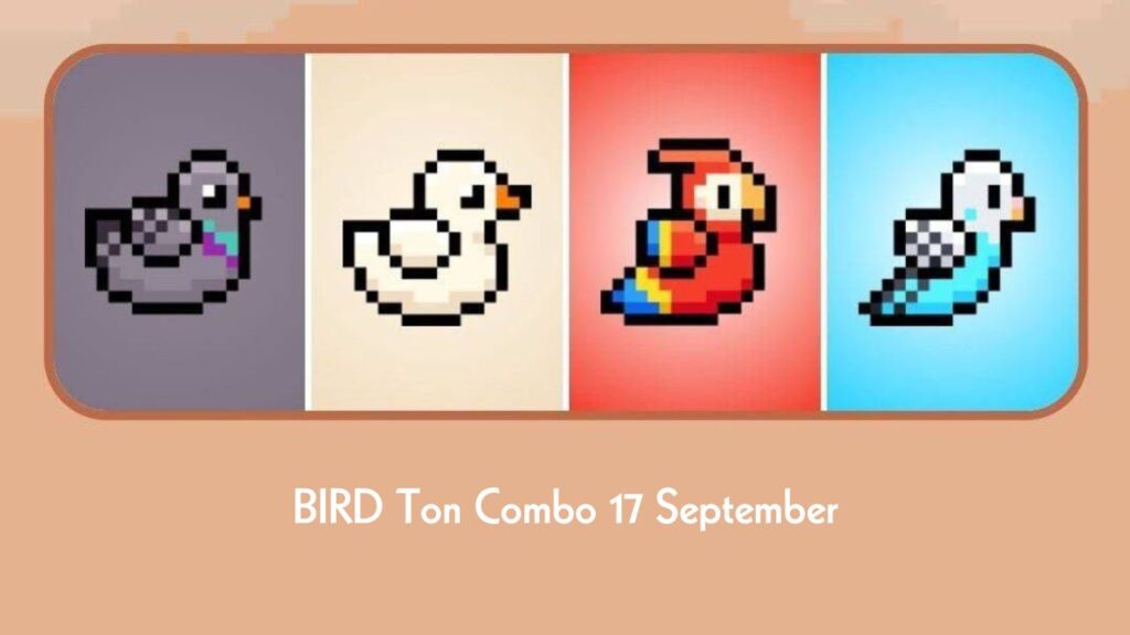 BIRD Ton Combo 17 September