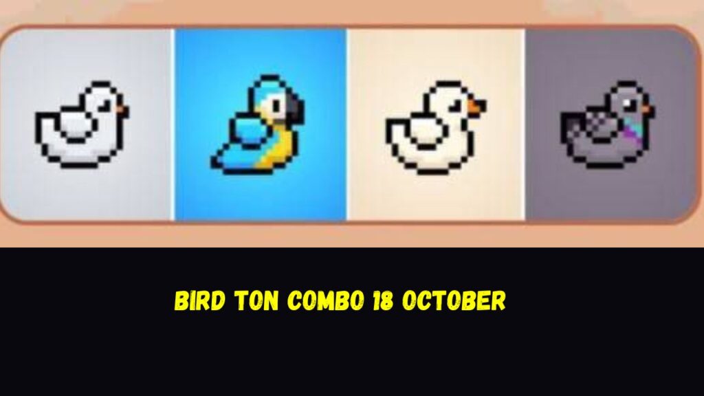 BIRD Ton Combo 18 October