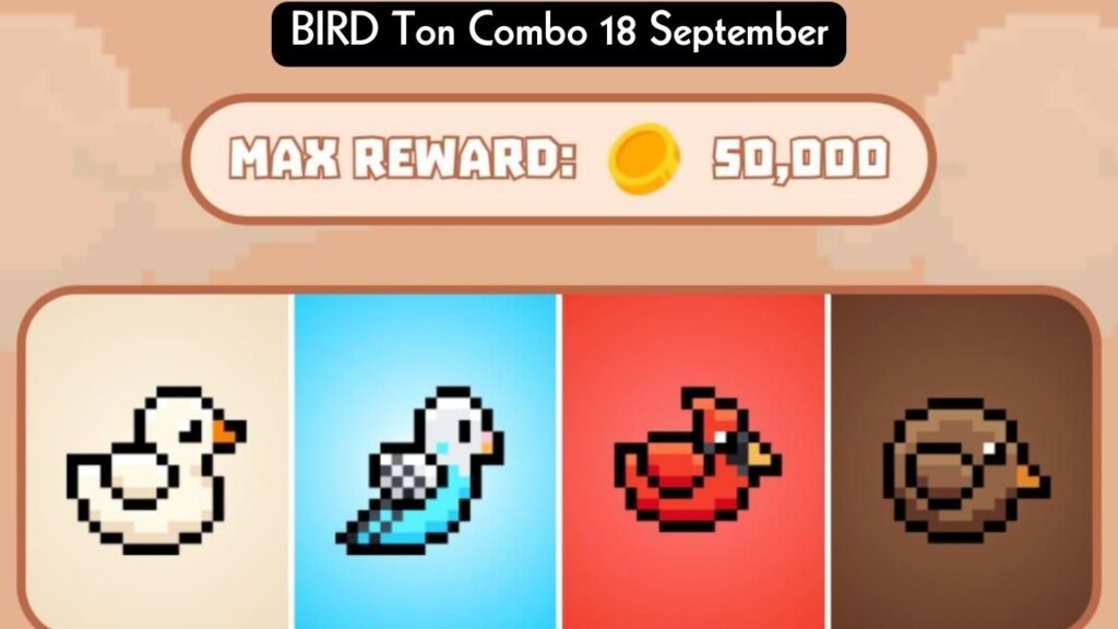 BIRD Ton Combo 18 September