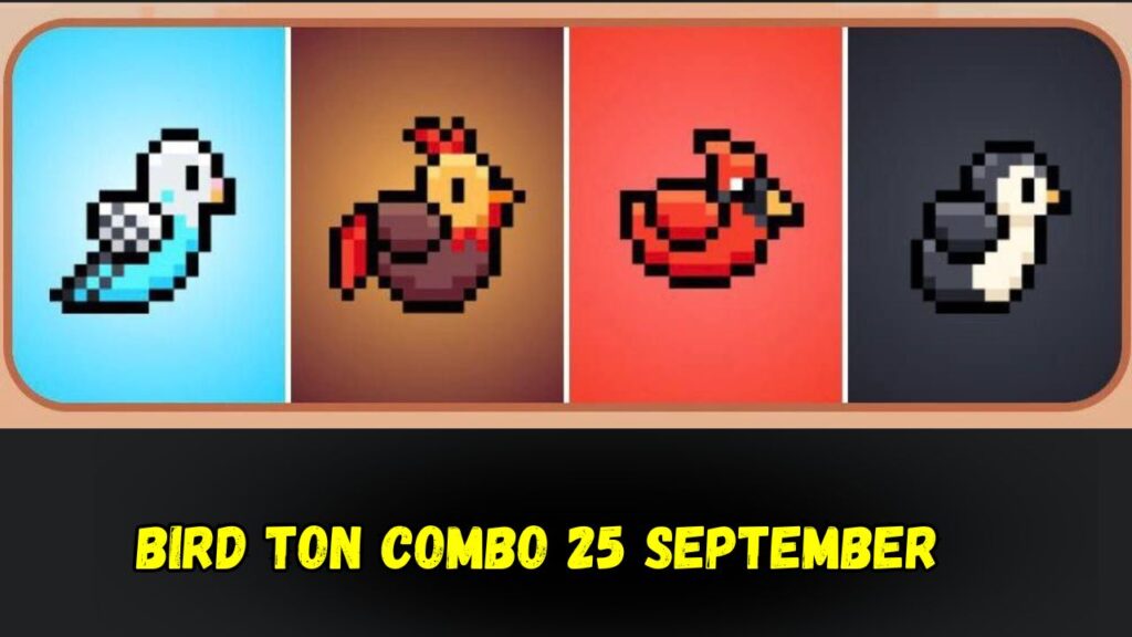 BIRD Ton Combo 25 September