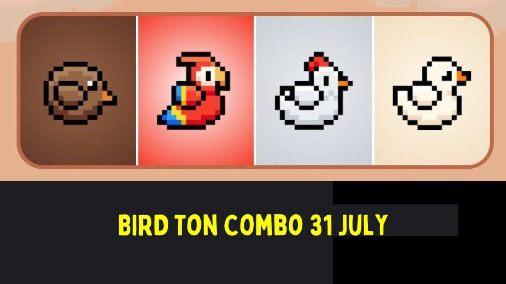 BIRD Ton Combo 31 July