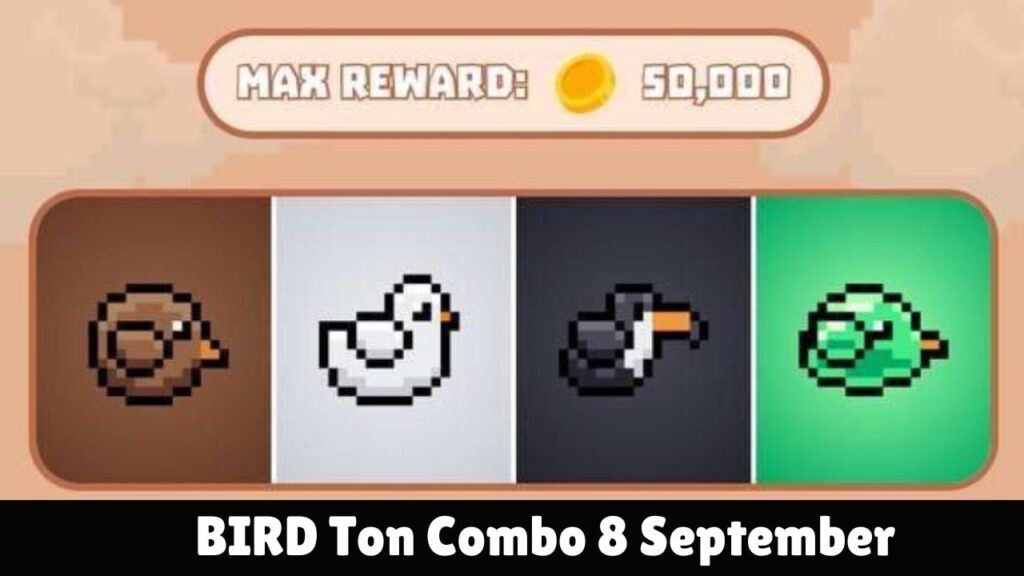 BIRD Ton Combo 8 September