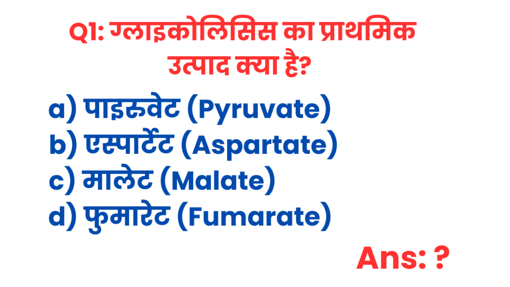 BSC Biotechnology Final Year Important Questions and Answers