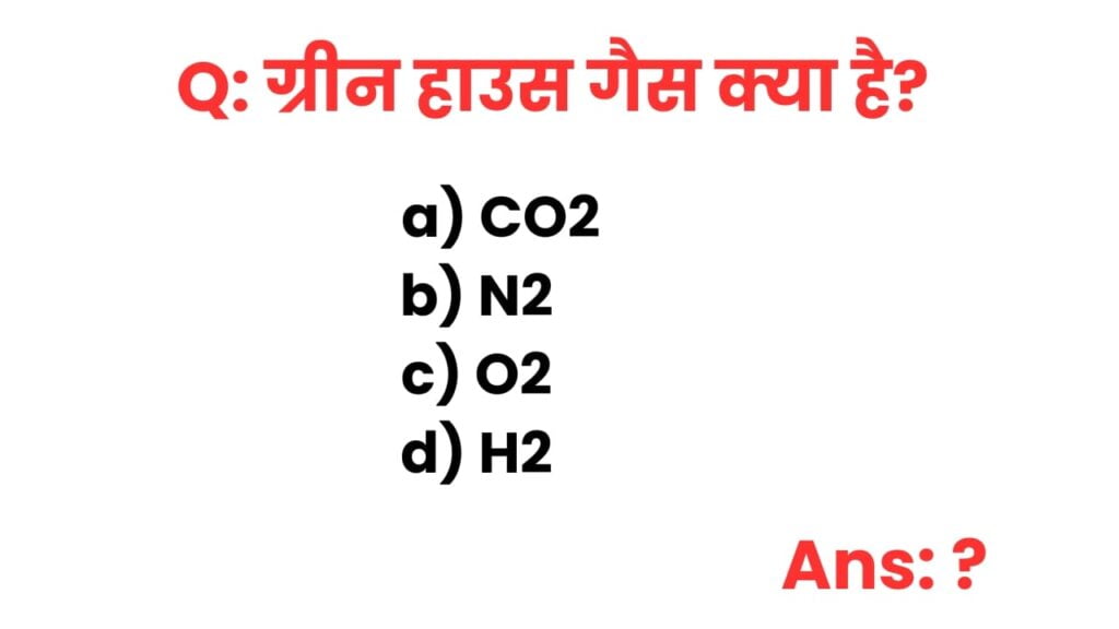 BSC Biotechnology Final Year Important Questions and Answers