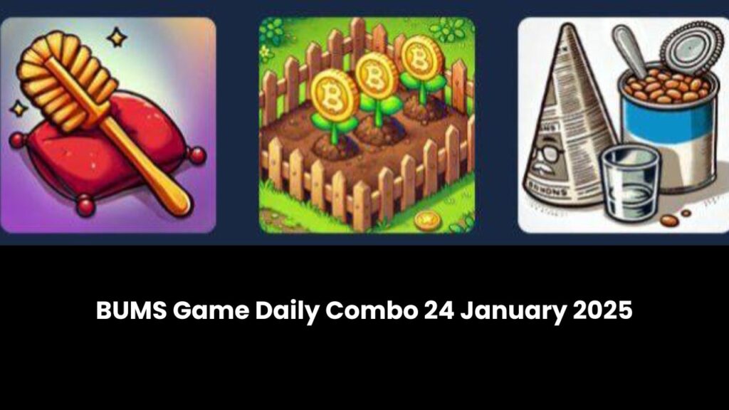 BUMS Game Daily Combo 24 January 2025