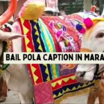 Bail Pola Caption in Marathi