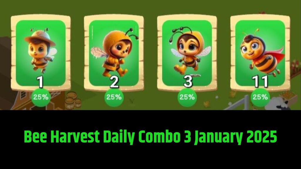 Bee Harvest Daily Combo 3 January 2025