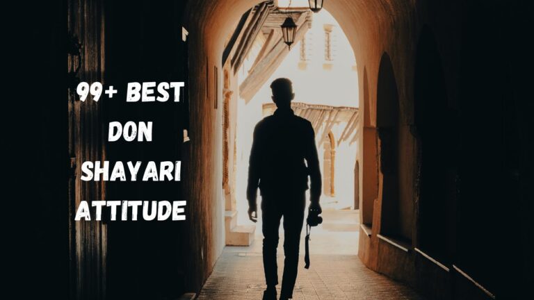 Best Don Shayari​ Attitude