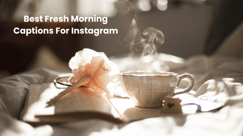 Best Fresh Morning Captions For Instagram