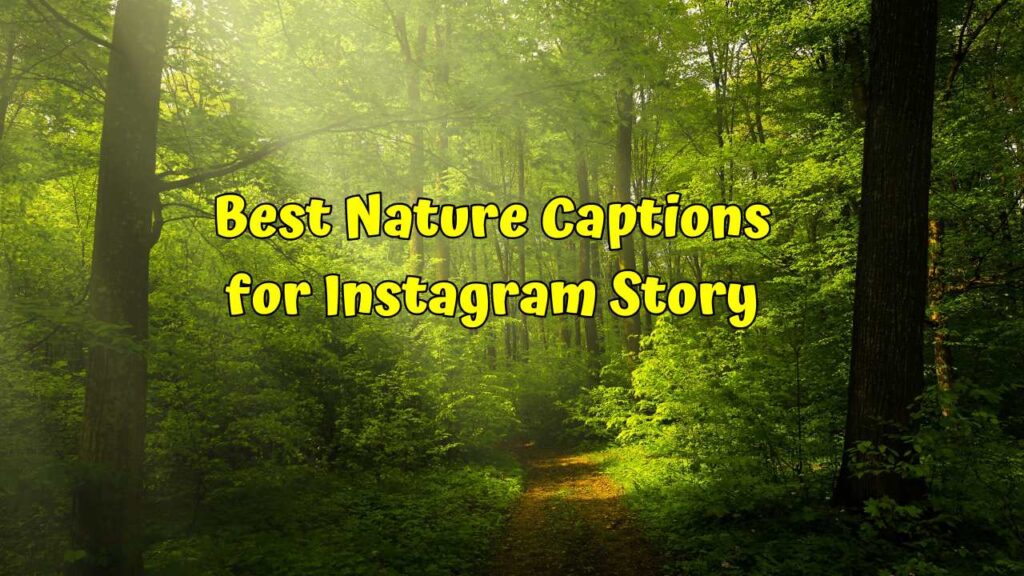 Best Nature Captions for Instagram Story