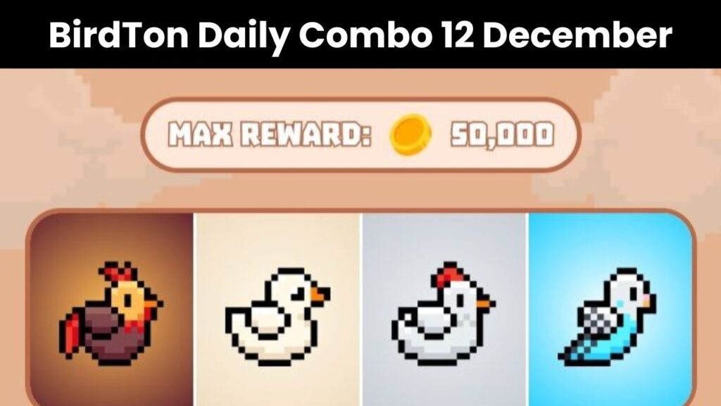 BirdTon Daily Combo 12 December