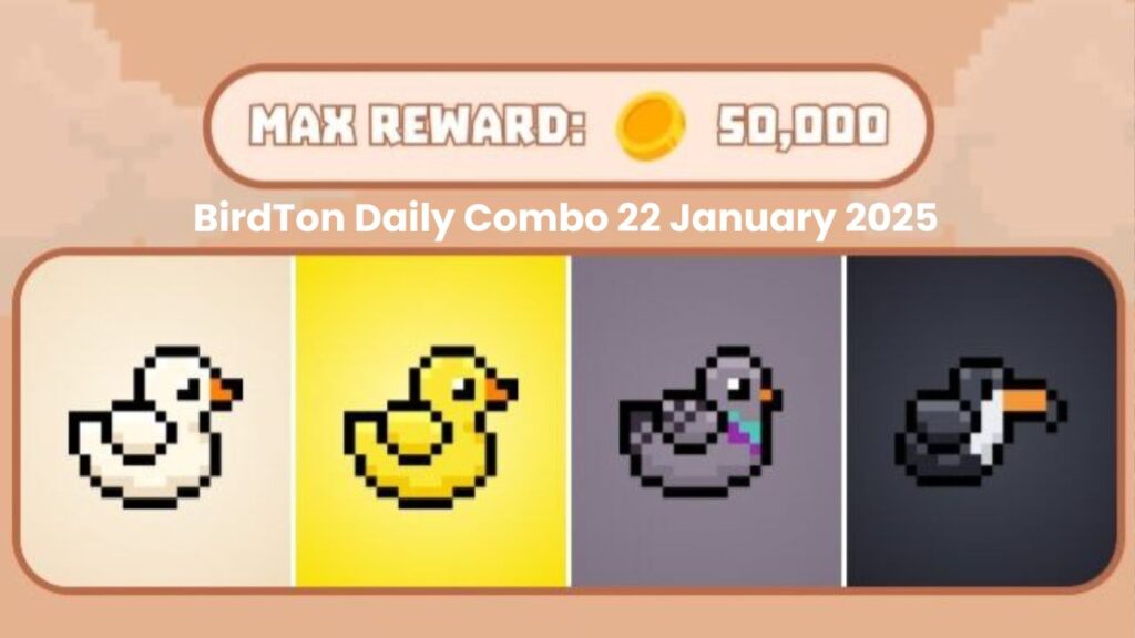 BirdTon Daily Combo 22 January 2025