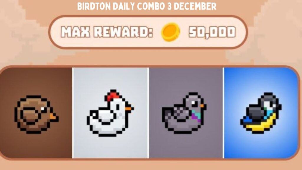 BirdTon Daily Combo 3 December