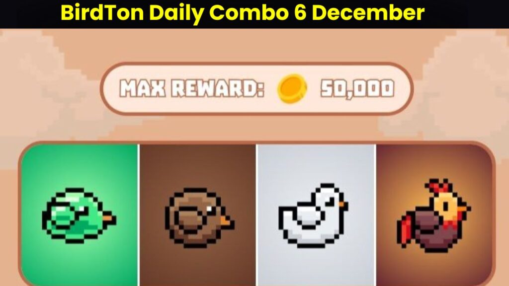 BirdTon Daily Combo 6 December