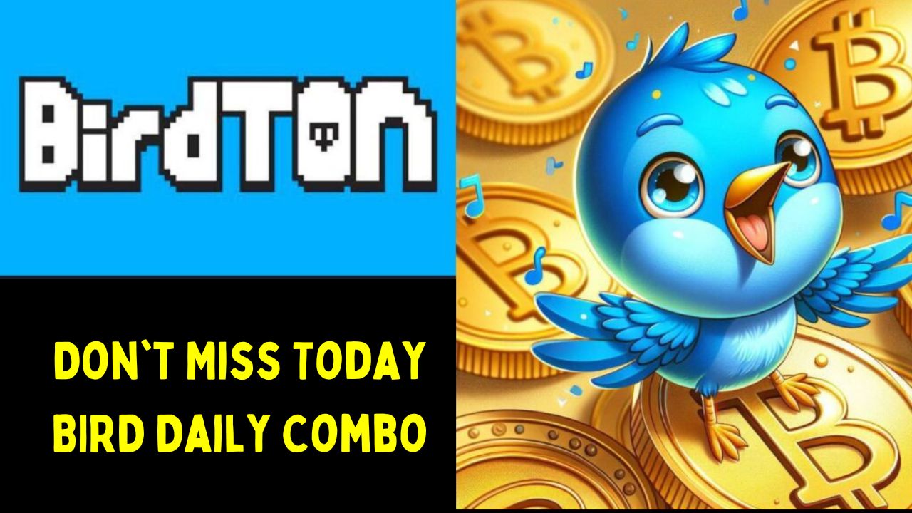 BirdTon Daily Combo For 3 November 2024