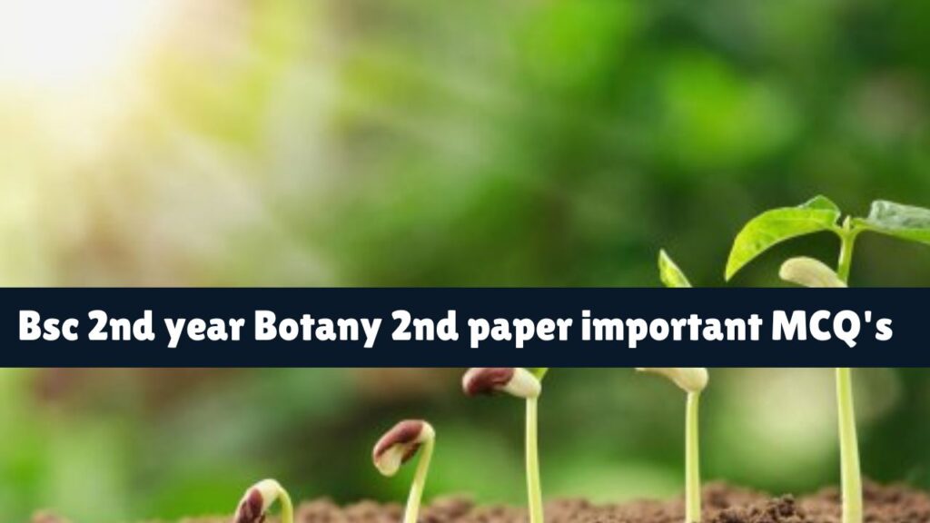 Bsc 2nd year Botany 2nd paper important MCQ's