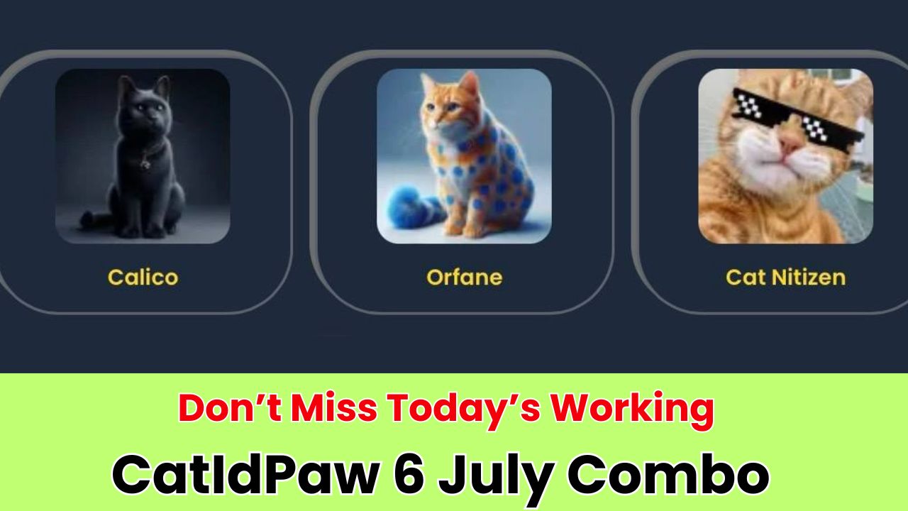 CatIdPaw 6 July Combo 