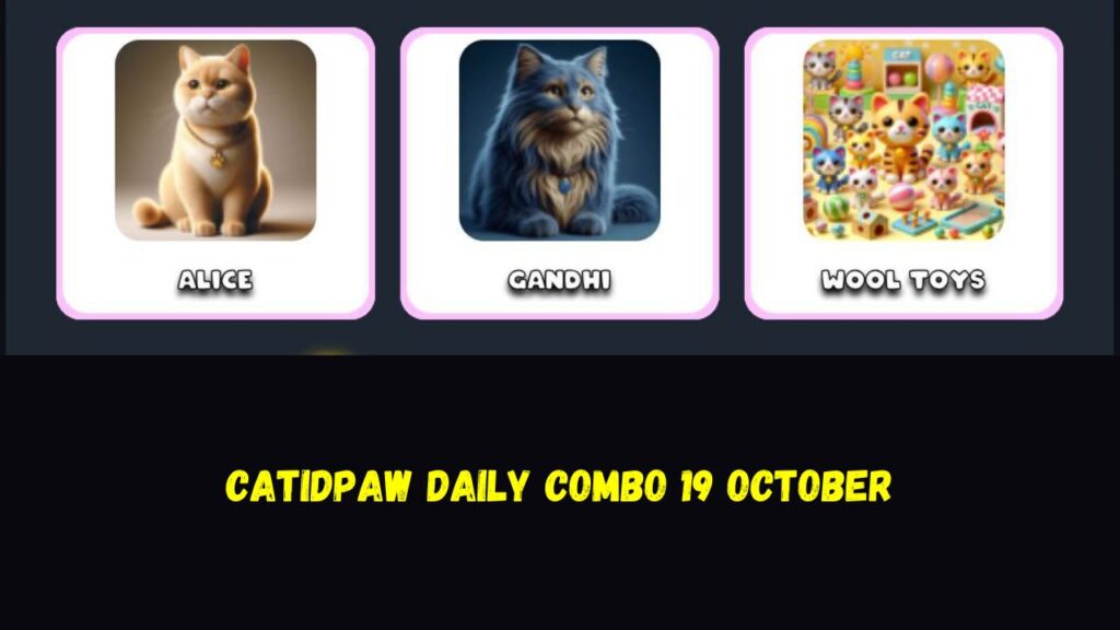 CatIdPaw daily combo 19 October