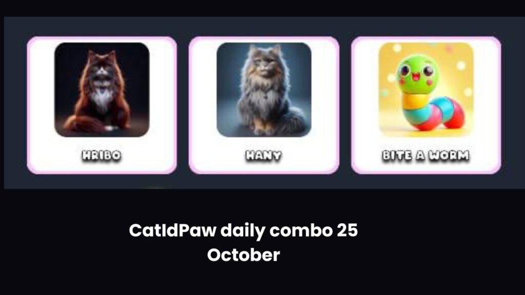 CatIdPaw daily combo 25 October