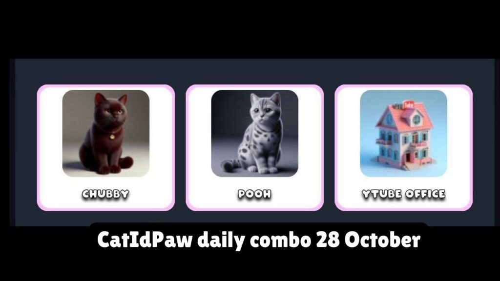 CatIdPaw daily combo 28 October