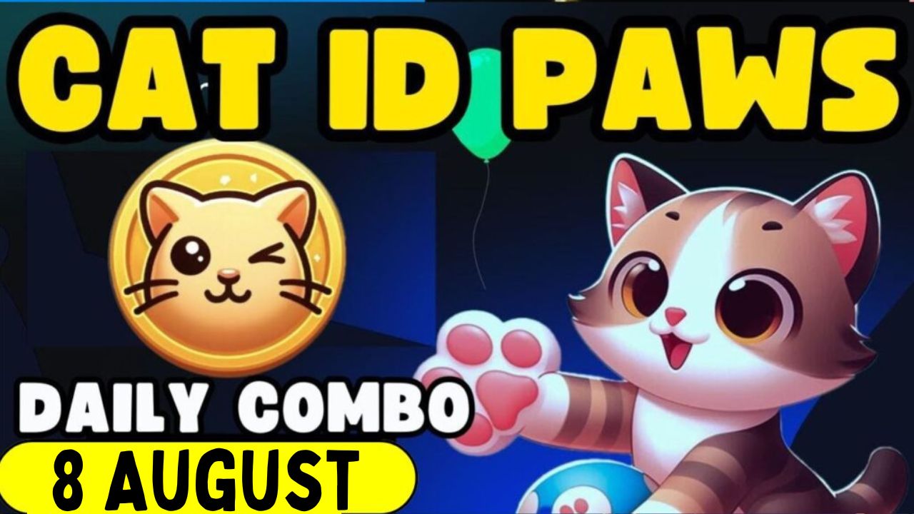 CatIdPaw daily combo 3 November