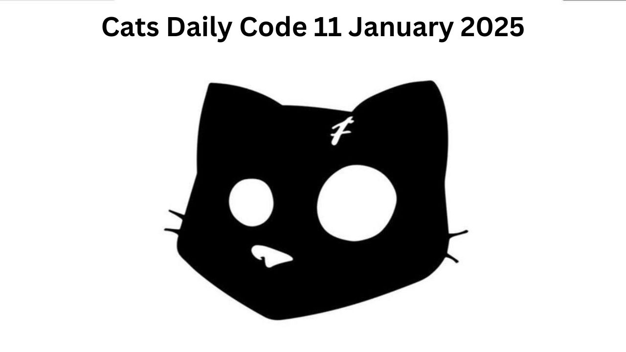 Cats Daily Code 11 January 2025