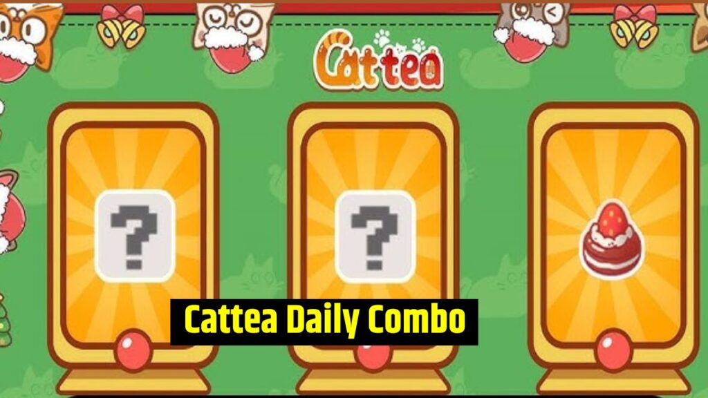 Cattea Daily Combo 1 January 2025