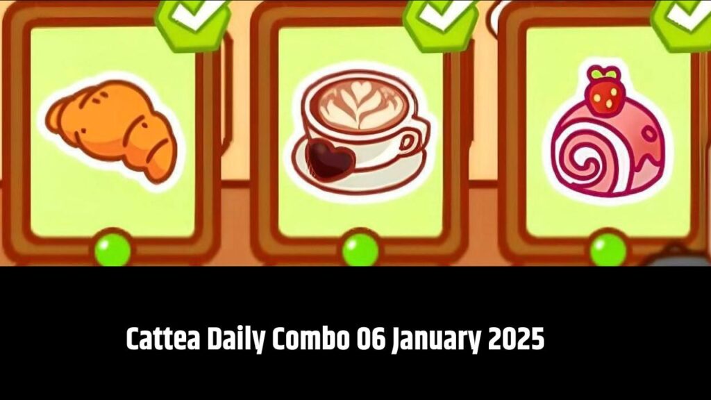 Cattea Daily Combo 06 January 2025