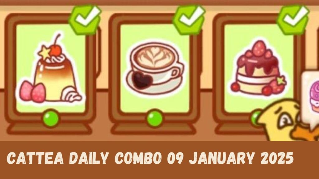 Cattea Daily Combo 09 January 2025