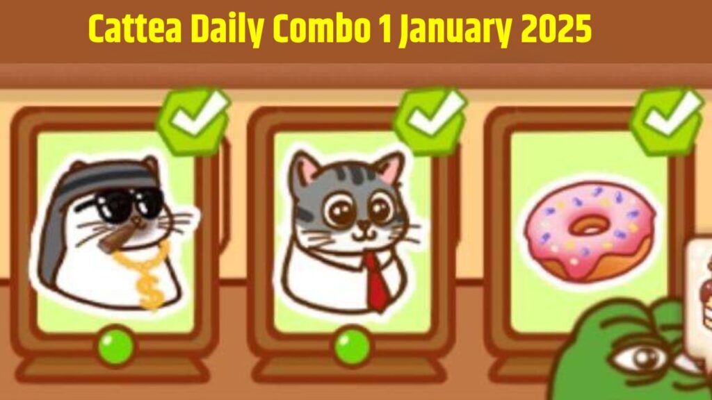 Cattea Daily Combo 1 January 2025