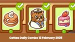 Cattea Daily Combo 12 February 2025