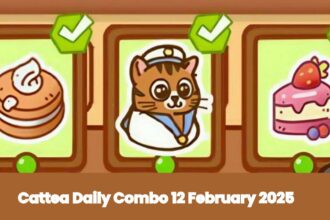 Cattea Daily Combo 12 February 2025