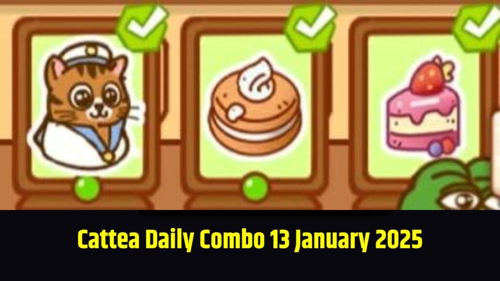 Cattea Daily Combo 13 January 2025