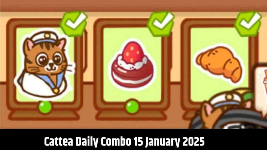 Cattea Daily Combo 15 January 2025