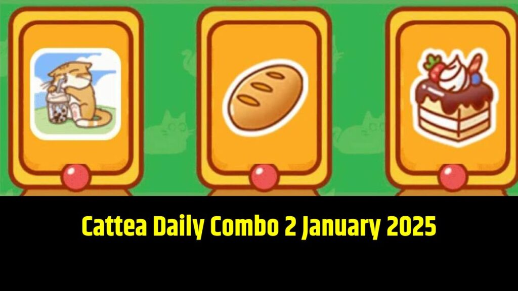 Cattea Daily Combo 2 January 2025