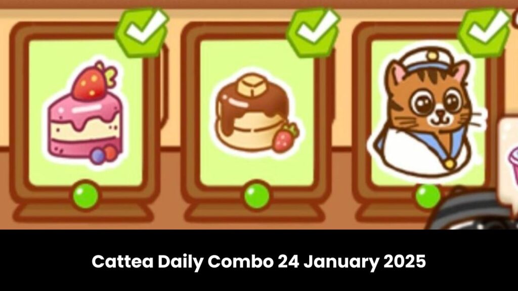 Cattea Daily Combo 24 January 2025