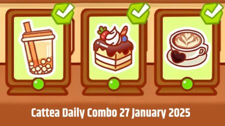 Cattea Daily Combo 27 January 2025