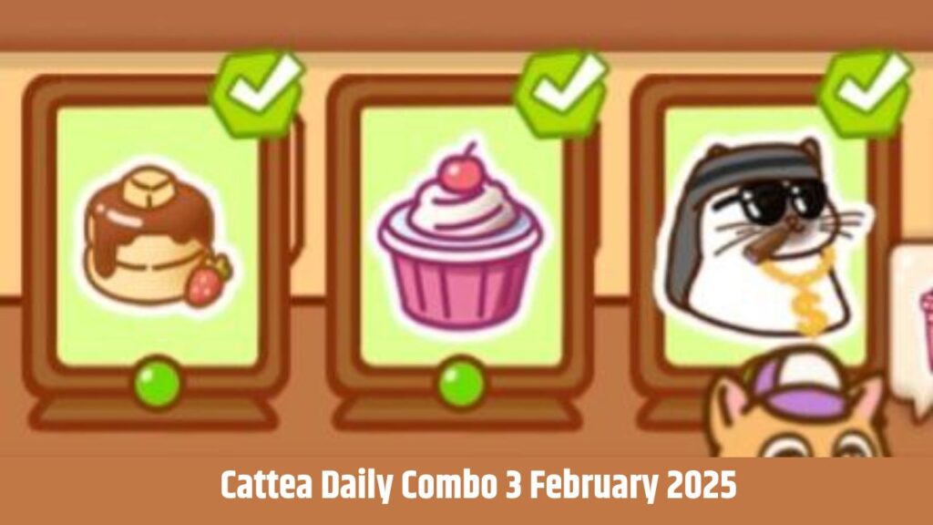 Cattea Daily Combo 3 February 2025