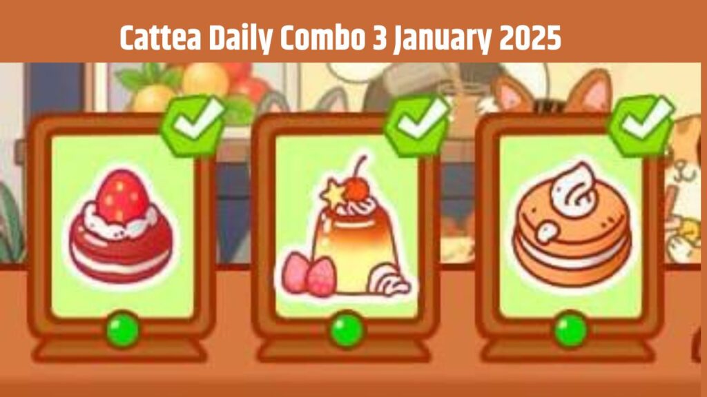 Cattea Daily Combo 3 January 2025