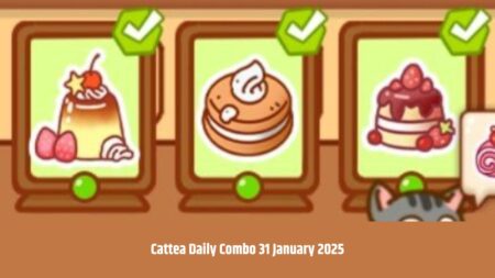 Cattea Daily Combo 31 January 2025