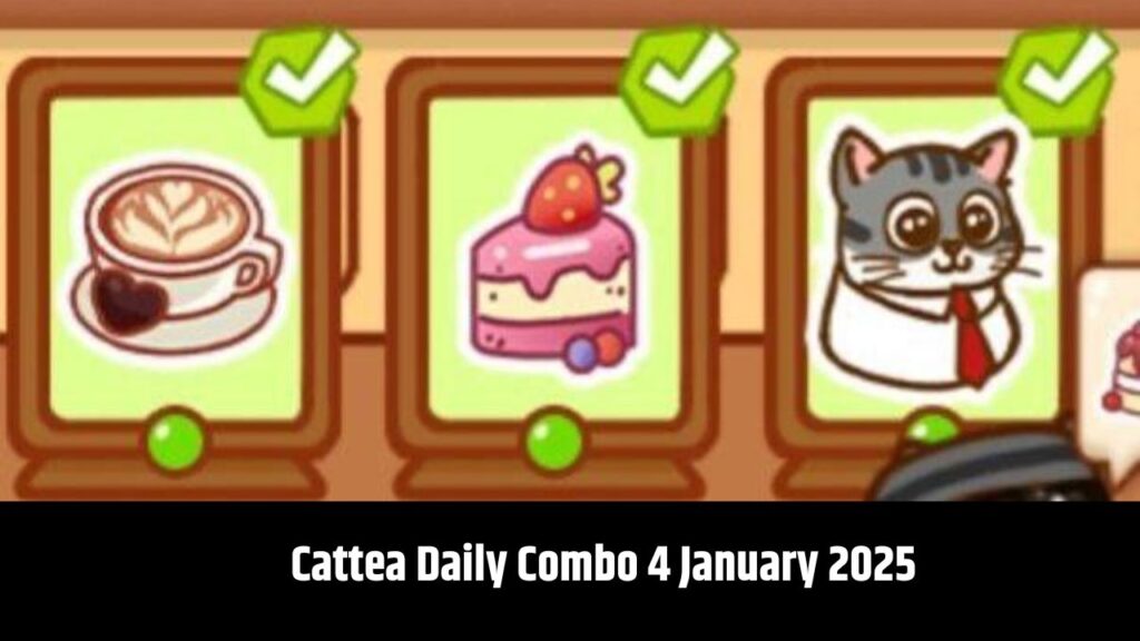 Cattea Daily Combo 4 January 2025