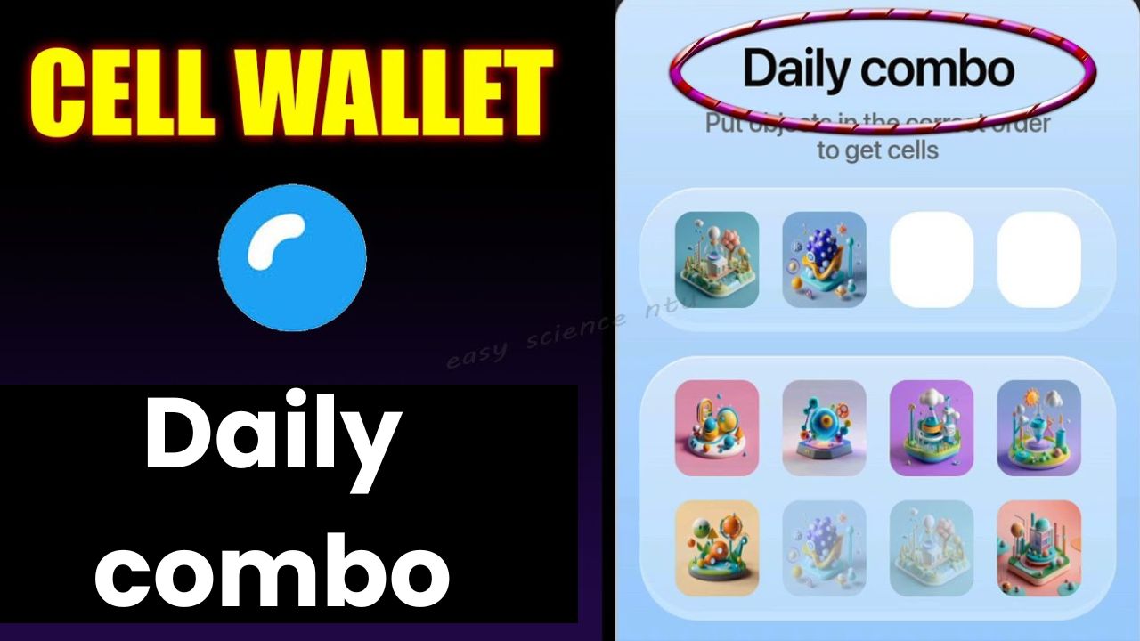 Cell Wallet Daily Combo